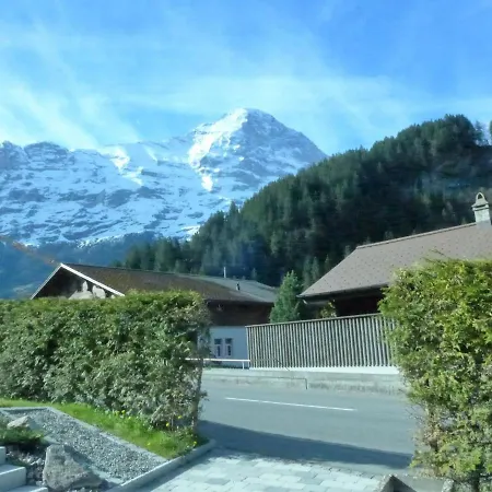 Daire Chalet Schwendihus-9